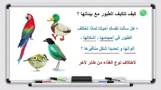 العلوم - الصف السادس - الدرس الثاني