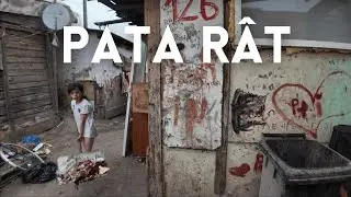 RUMUŃSKIE SLUMSY NA WYSYPISKU ŚMIECI - PATA RAT