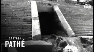 River Danube Dries Up (1960-1969)