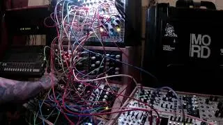 Radical Frequencies Lucky Voltages jam