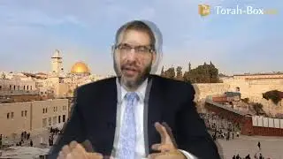 Vayishlach: The Eternal Conflict Between Yaakov and Esav (Rav Avi Grossman)