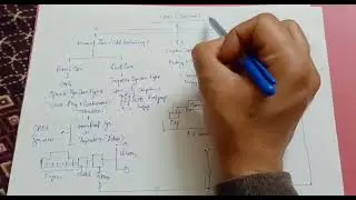 HEV( Hybrid Electric vehicle) /EV cars / Old technology ll HEV कार कैसी अलग होती है EV कार से ll
