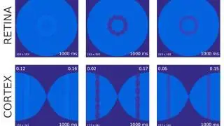Geometric visual hallucinations induced by a flickering annulus