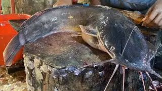 10 KG Giant Catfish Cutting Skills | Amazing Big Fish Cutting at Local Market