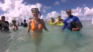 Swimming with Stingrays, Antigua Caribbean