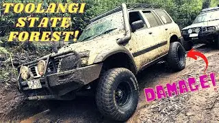 4WDING at a MUDDY TOOLANGI! TD42, TB42 patrols, Hilux + Lots of damage!!