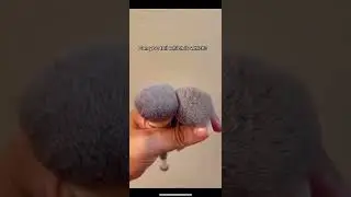 Foundation Brush Dupe! Link in bio 🔥 #shorts #youtubeshorts #makeupshorts