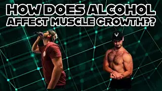How does alcohol affect muscle growth