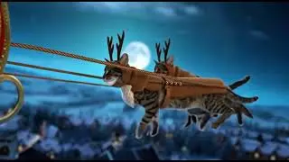 Santa Cat&rsquo;s Magicaed video