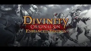 Divinity: Original Sin - Folge 36 - Loik, der Chef der Makellosen...