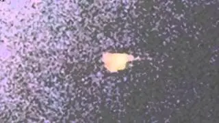 UFO near Verinsko lake in Bulgaria   September 1, 2012