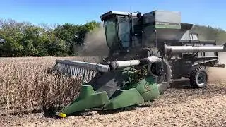 1987 Gleaner L3 combining soybeans near Hope, Kansas in 2023