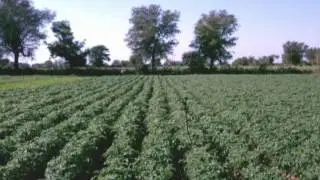 Bhungroo - a survival for farmers in disaster affected areas of Gujarat