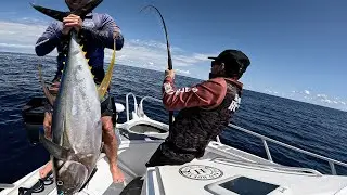 TUNA FOR DAYS 🤯
