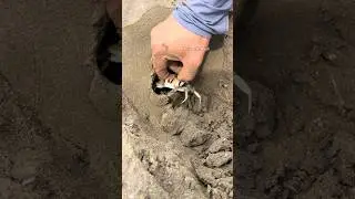 Father Finding Treasure in Beach😂🤯#shorts #viral #trending