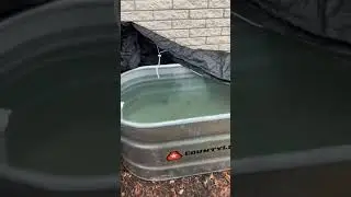 ICE BATH for UNDER $100 and where I keep it! #coldwatertherapy #icebath #wimhof #mentalstrength