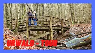 Wandern Saarland, Urwald - Tour vor den Toren Saarbr&uuml;ckens