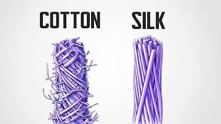 The Crazy Engineering of Silk