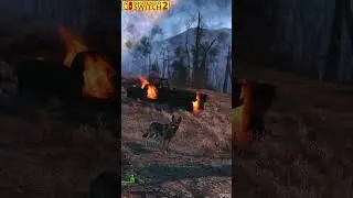 Fallout 4: сравнение графики на ранних версиях Nintendo Switch 2 и PS5 Pro