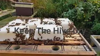 Honey Bee Winter Feeding Keeps Your Hive Super Dry Sugar cake  / Fondant