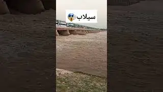 flood in punjab today satluj river#shorts #viral #river #shortvideo