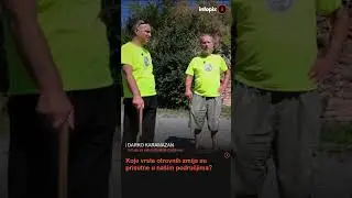 Koje vrste otrovnih zmija su prisutne u na&scaron;im područjima? 🐍