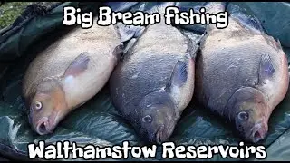 BIG BREAM fishing at Walthamstow Reservoirs | Alfie Russell