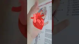 Нагрянули с проверкой ☺️ #медицина #дикий #кайф #учеба #универ #актив #anatomy #medicine #study #gym