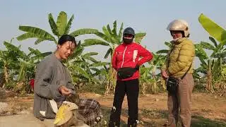 Две странные девушки пришли в дом Хуонга, чтобы купить обезьянку Наху по очень высокой цене.