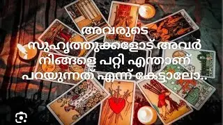 അവരുടെ സുഹൃത്തുക്കളോട് അവർ നിങ്ങളെ പറ്റി എന്താണ് പറയുന്നത് എന്ന് കേട്ടാലോ. #love #malayalamtarot