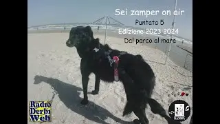 Sei zampe on air per Radio Derbi Web - Puntata 5 - Edizione 2023 2024 - Dal parco al mare