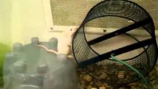 Funny mouse - innovation at work!