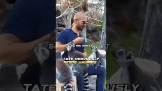 Tate hand feeding animals 🐒