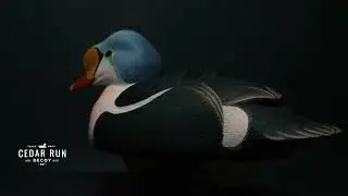 Cedar Run Decoy Co. - King Eider Decoy (360)