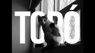 Tor&oacute; | Micrometragem