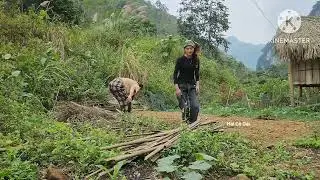 Two girls clean up the farm - watering the vegetable garden and feeding the ducks