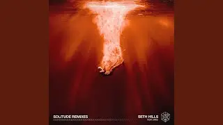 Solitude (Vluarr Remix)