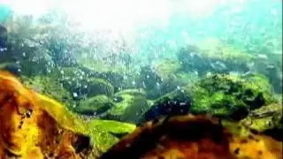 Video for Dave Arnott Memorial