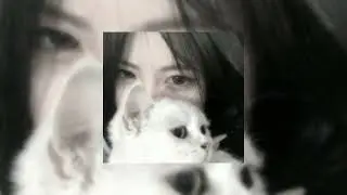 Fight Song - (Speed Up)