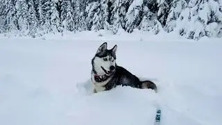Franklin Falls (Winter)