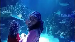 Vanya's Birthday Celebration l London Sealife Aquarium Visit l Build A Bear Workshop l Special Cake