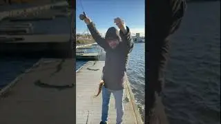 Incredible #perch bite on a unique #lure on a stormy day #fishing #fishingvideo #lurefishing