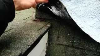 Dormer Repair