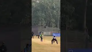 perfect shot🏏 #cricket #highlights #ipl #live #trending #shorts #viral #reels #bpl #love #funny