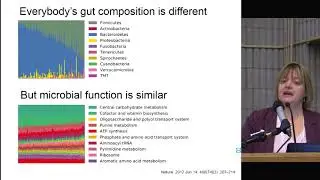 Bugs as drugs: modifying the human gut microbiome with &lsquo;microbial ecosystem therapeutics&rsquo;