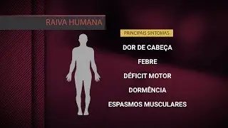 N&uacute;mero de mortes por raiva no Brasil mais que dobrou em 2017 | SBT Brasil (05/12/17)