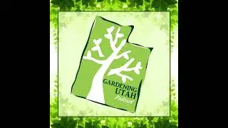 Fruit Tree Pruning and Delicious Apple Tree Varieties Part 1