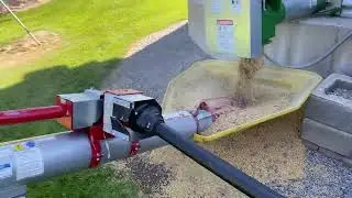 Oliver 880 loading out soybeans 5/26/23