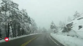 Drive Winter Bends #automobile #snow #winter
