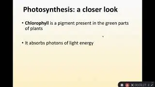 Module 10.6 -  Energy Transfer and Photosynthesis